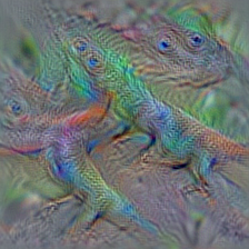 n01687978 agama